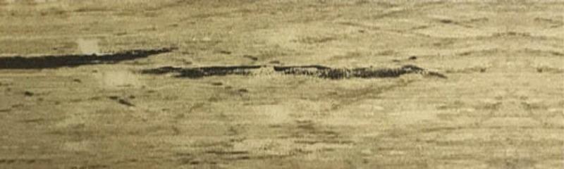 Крайка SWND 0474 Дуб Тахо 21х0,8 Termopal — Meblibud