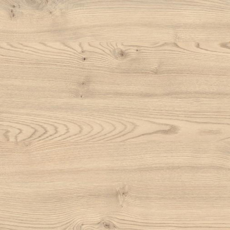 Каштан кентуккі пісочний