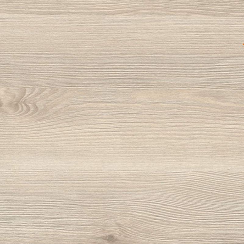 Сосна Алад Біла