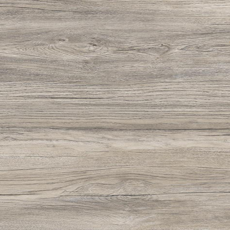 Дуб Острава