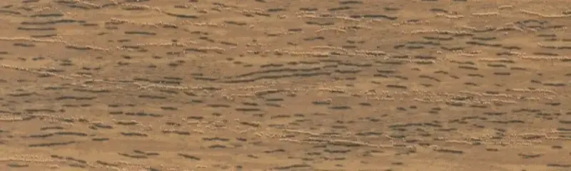 Дуб рустікаль