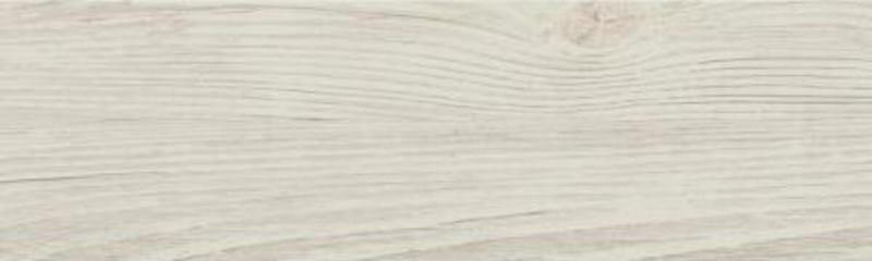 Сосна касцина