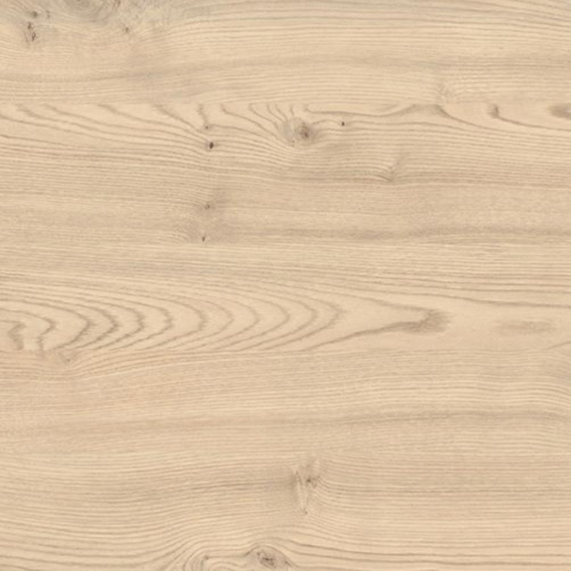 Каштан кентуккі пісочний