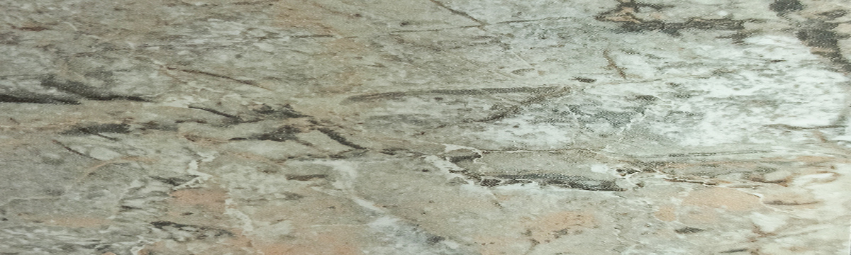 Крайка  калібрована  W576 3050х42 — Meblibud