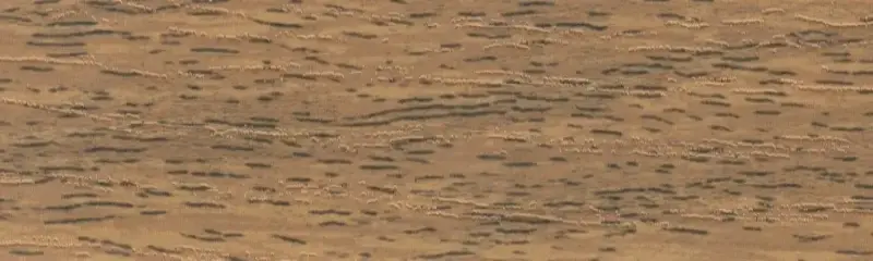 Дуб рустікаль